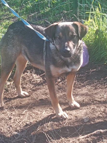 Igor Cagnetto Sfortunato Ma Buonissimo